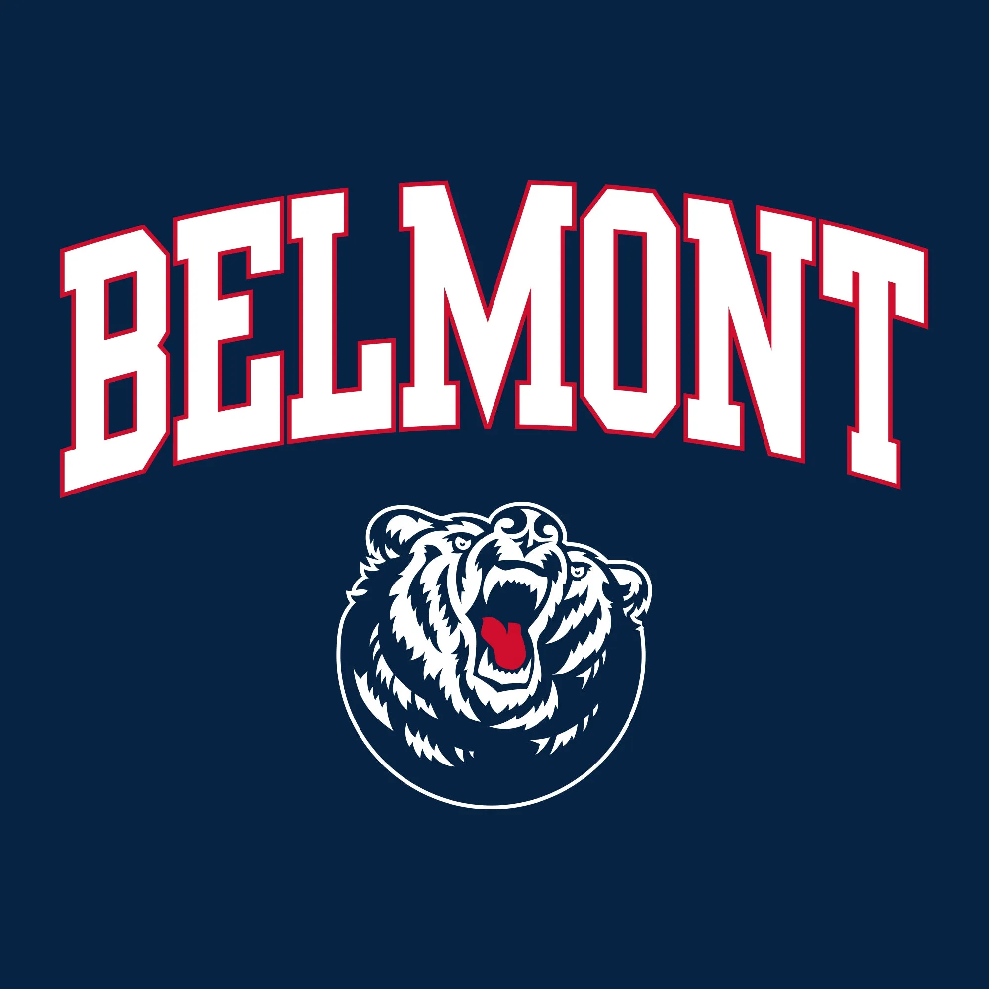 Belmont University Burins Arch Logo Heavy Blend Hoodie - Navy